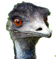 Emu Products